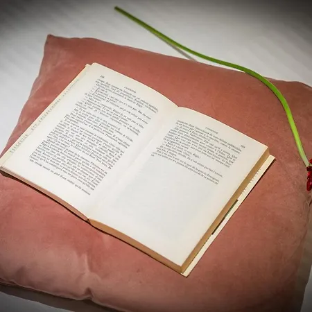 Chronos By Kleidos, Grand Duplex, 4 Personnes, 3 Minutes Gros Horloge&opéra De Rouen